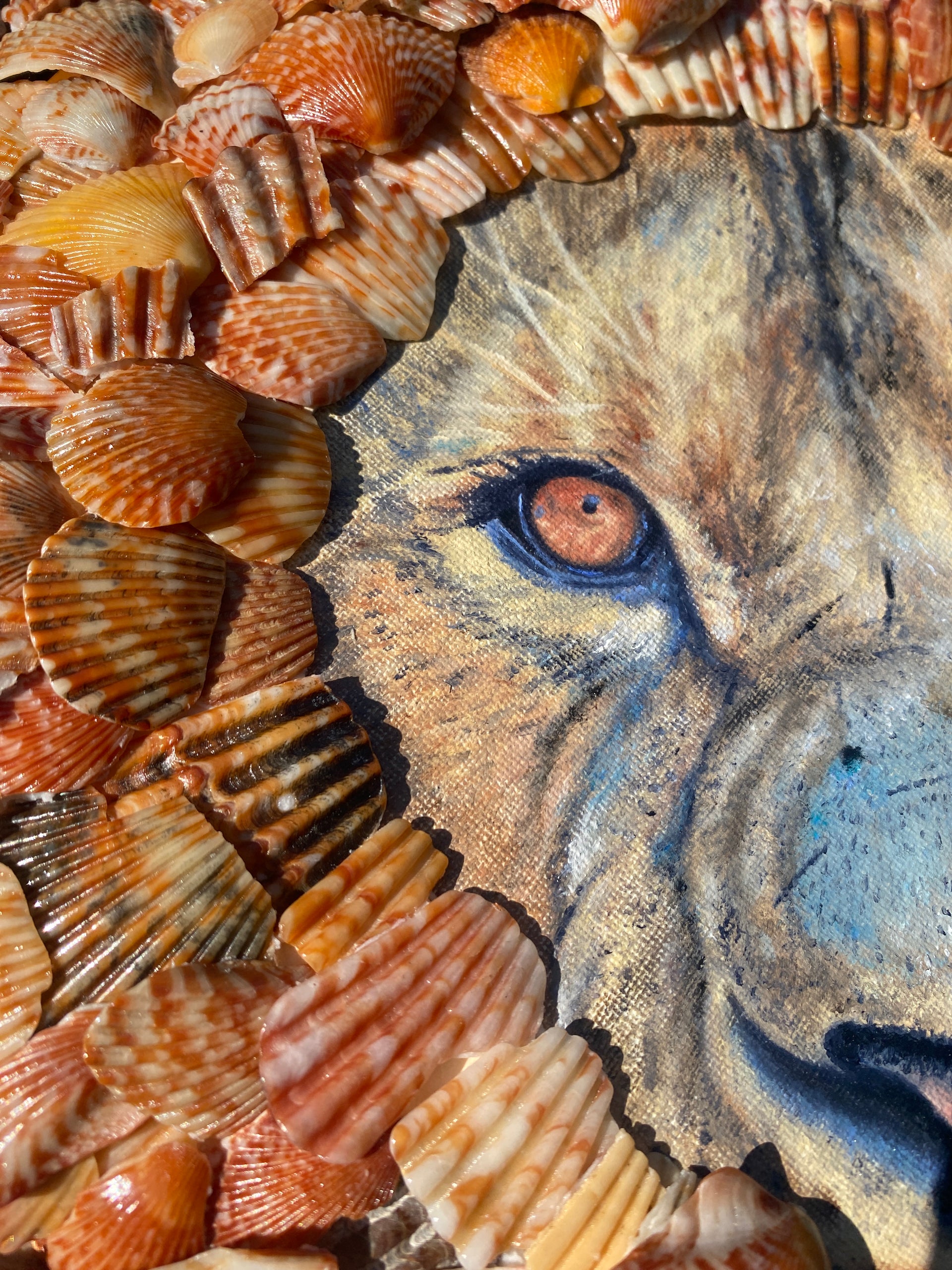 "Leo" is a mixed media art piece by Shireen Renee depicting the oil painting of a lion's face which is surrounded by a mane of real seashell fragments of orange, red and yellow hues. This is a close-up detail shot showing the texture of the canvas and the seashells.